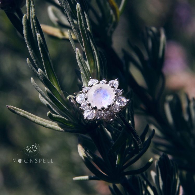 nz moonstone ring luxury shining rainbow moonstone flower zircons ring fine jewellery sterling silver gemstone gem june birthstone gift for her elvish